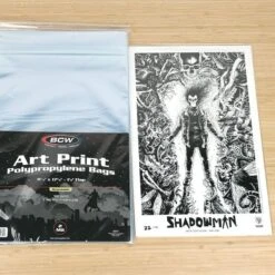 Resealable 11x17 Art Print Bags