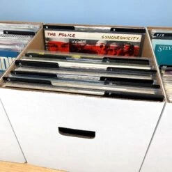 12" Record Divider - Black 8 12" Record Divider - Black -Bcwsupplies Sales Store 1 rd12 blk synchronicity