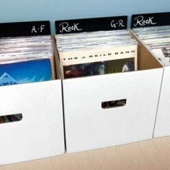 12" Record Divider - Tall - Black 8 12" Record Divider - Tall - Black -Bcwsupplies Sales Store 1 rd12 t blk inbox jgeils 2000px