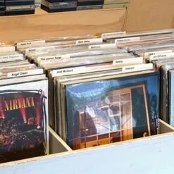 12" Record Dividers - White -Bcwsupplies Sales Store 1 rd12 whi irvvinyl 2