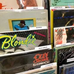 12" Record Dividers - White -Bcwsupplies Sales Store 1 rd12 whi rack 2000px